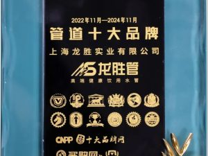 龙胜管荣获2022-2024年度“管道十大品牌”称号