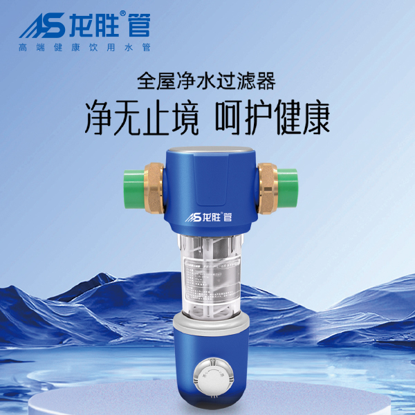 龙胜前置过滤器LS-HGS-19