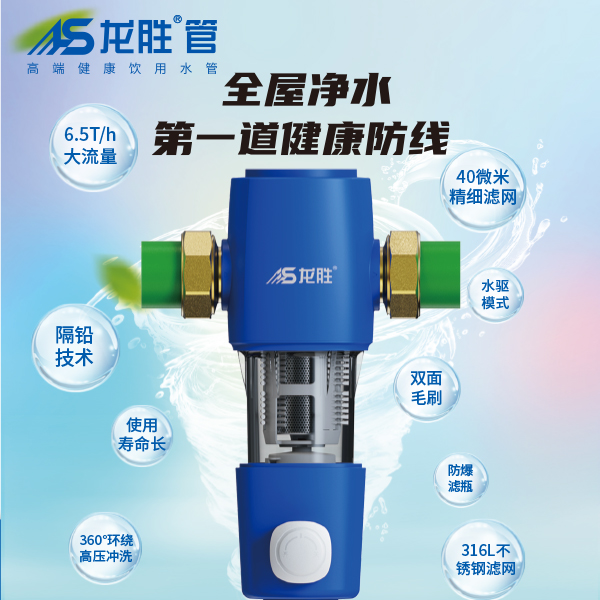 龙胜前置过滤器LS-QZ-10